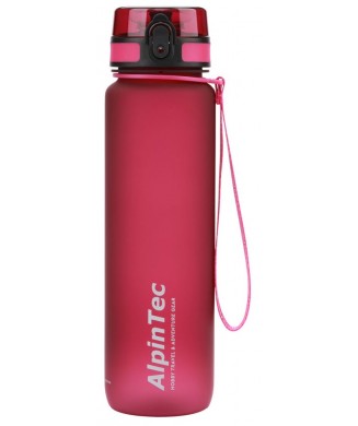 ALPINTEC ΠΑΓΟΥΡΙ BPA FREE 1000ml RASBERRY Q-1000RS