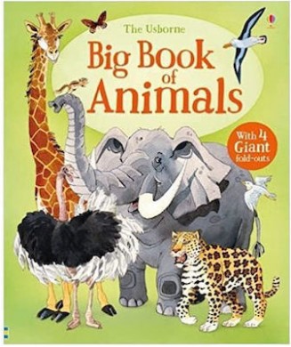 BIG BOOK OF ANIMALS