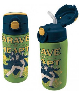 GRAFFITI ΠΑΓΟΥΡΙ ΑΝΟΞΕΙΔΩΤΟ 500ml HARRY POTTER GREEN 234412