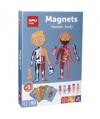 APLI MAGNETS THE HUMAN BOBY 63 ΤΕΜ. 18531